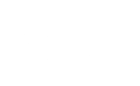 Raíces viajeras en grupo